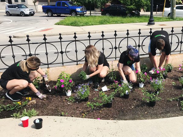 A group of Dewey's Pizza employees in matching Dewmore charity shirts plant flowers along a road